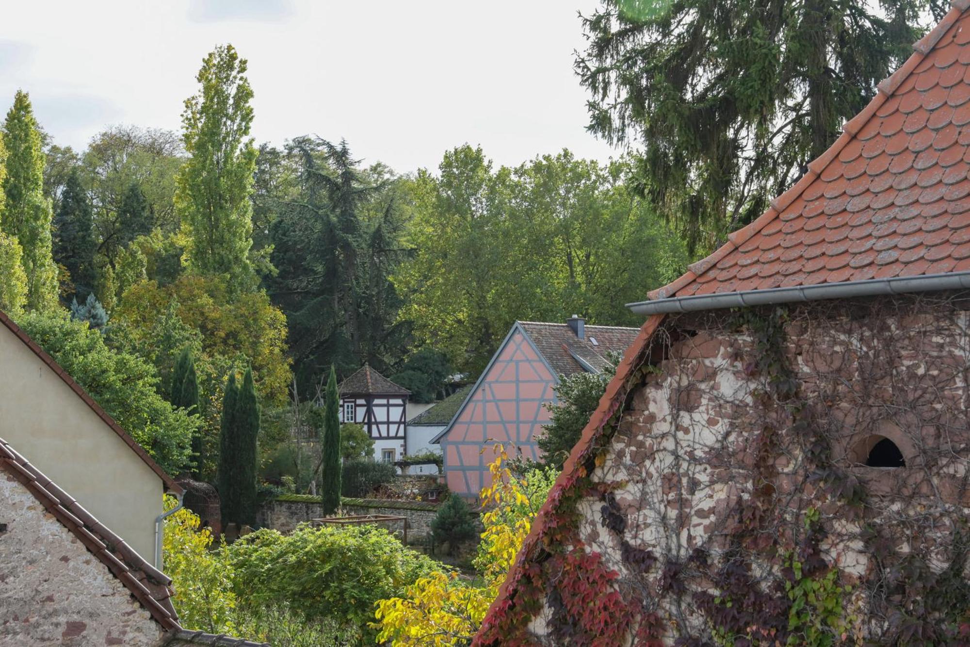 Boutique-Hotel Im Sternenhof Гроскарлбах Екстериор снимка